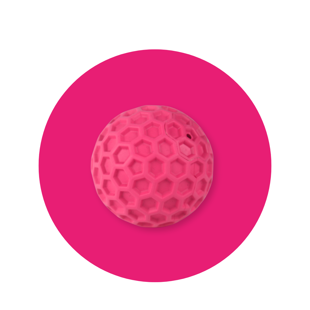 Honeycomb Squeaky Ball