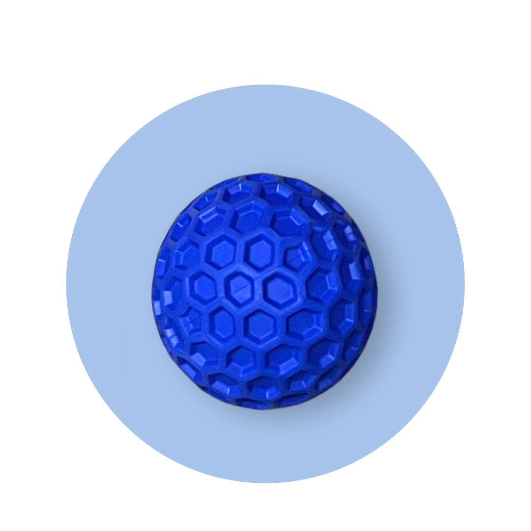 Blue Honeycomb Squeak Ball Doug's Dog Supplies