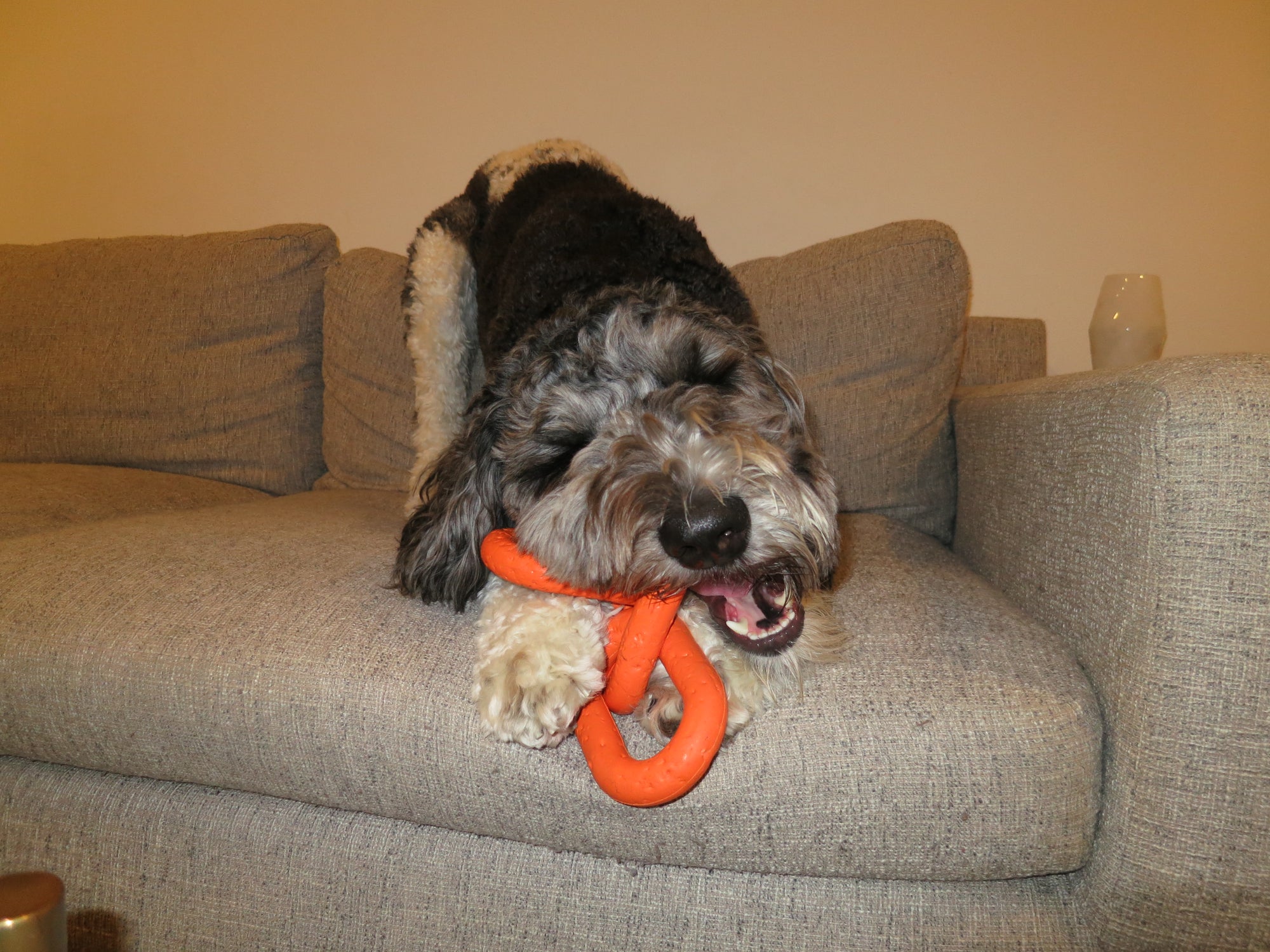 Orange Chain Link Rope Toy Doug's Dog Supplies