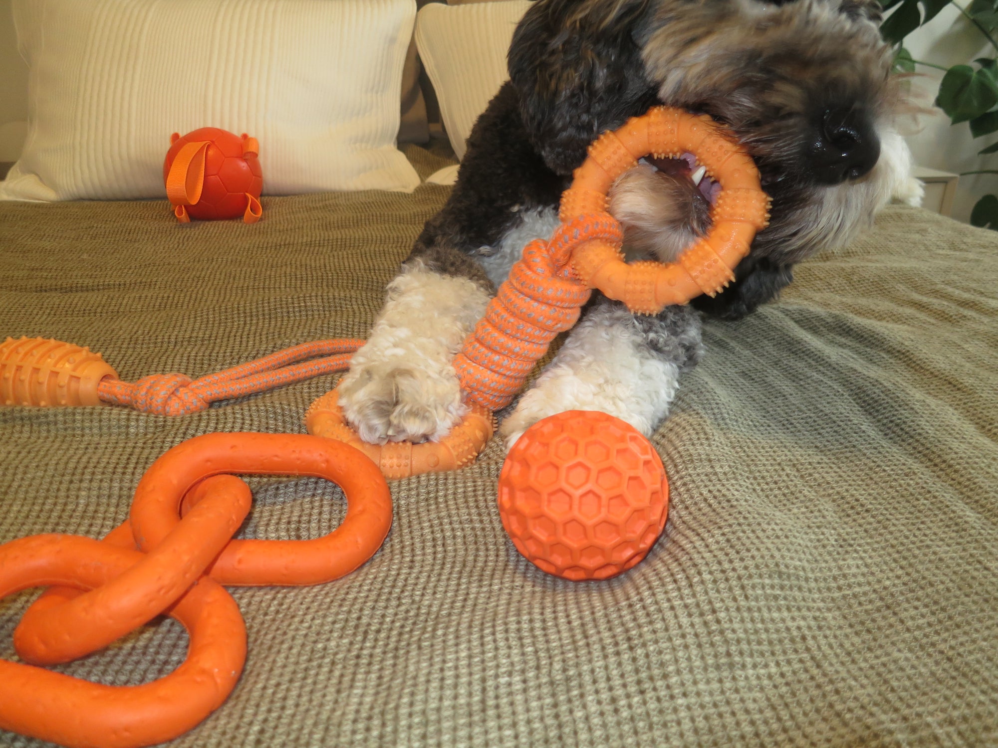 Orange Ring Rope Toy Doug's Dog Supplies