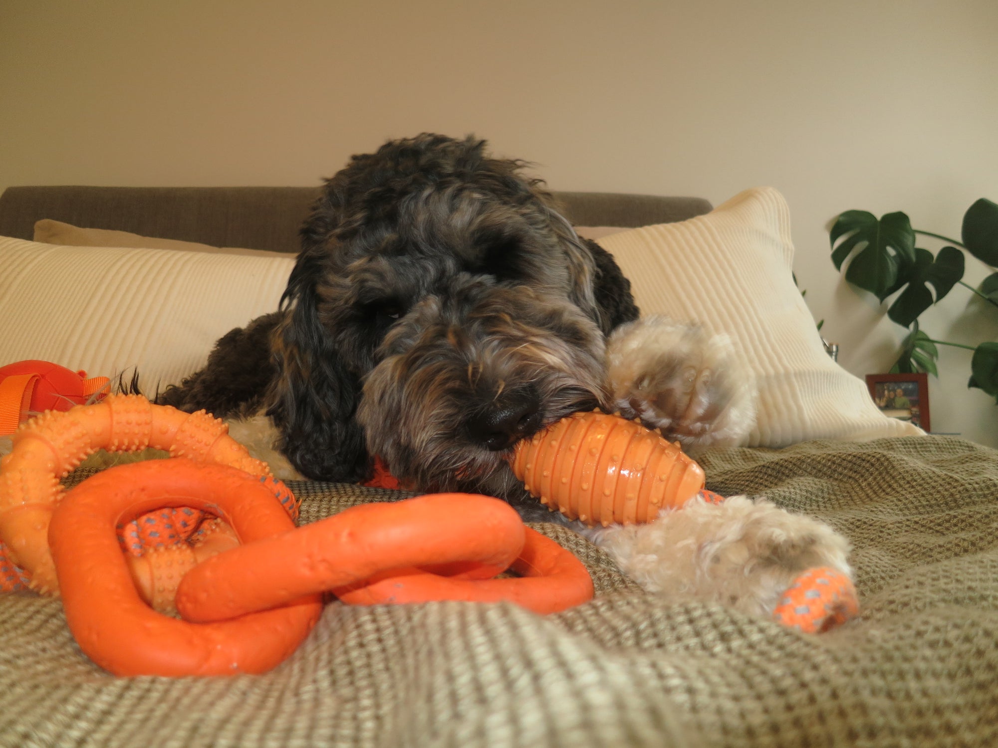 Orange Football Rope Toy Doug's Dog Supplies