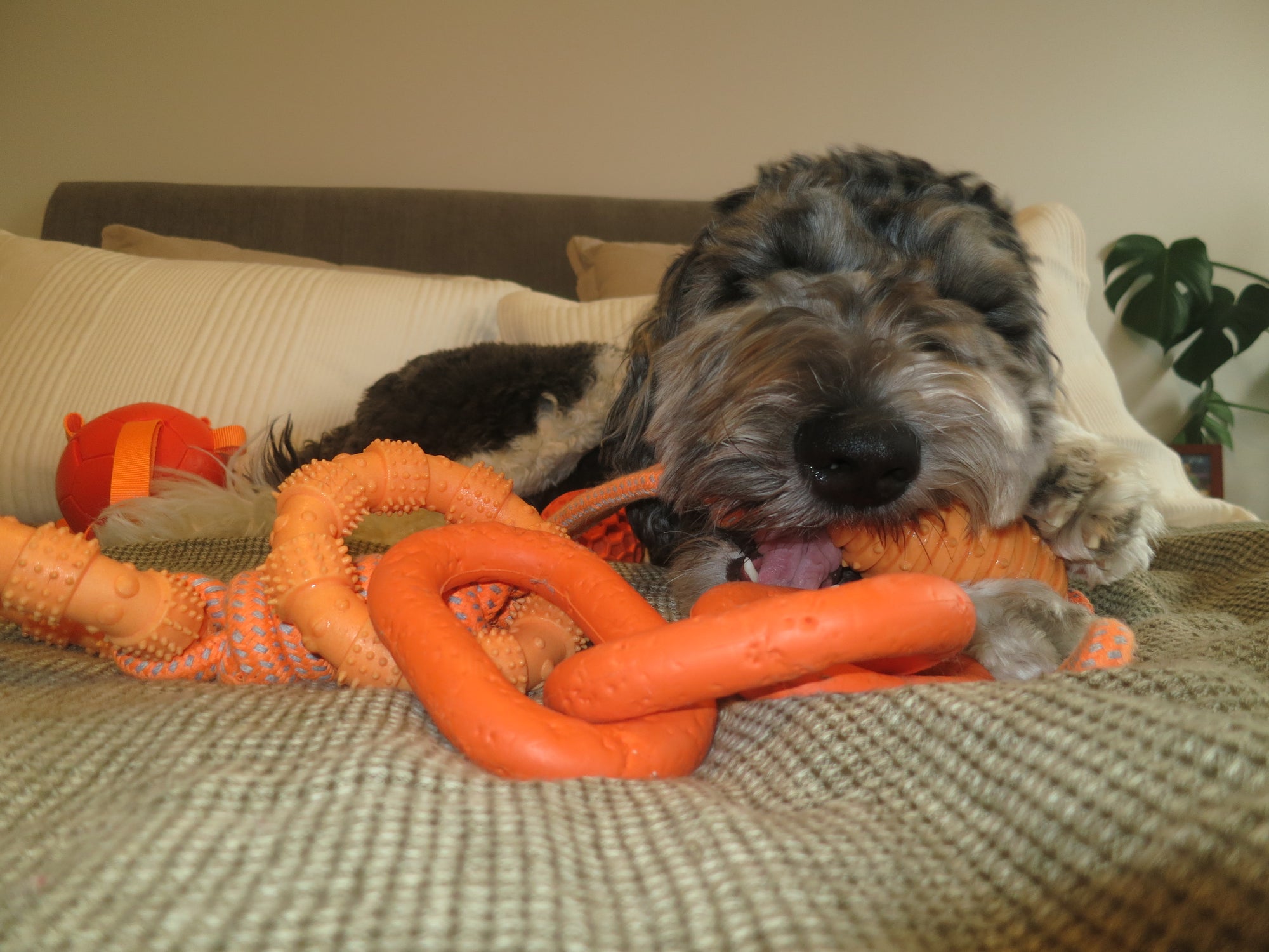 Orange Football Rope Toy Doug's Dog Supplies