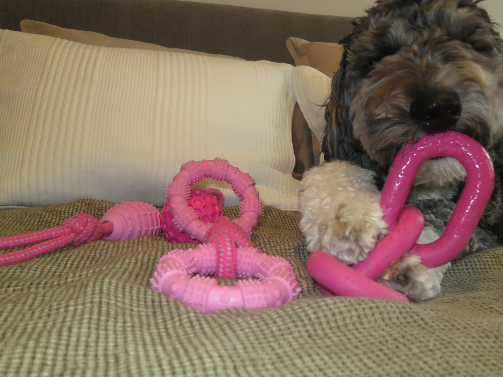 Pink Chain Link Rope Toy Doug's Dog Supplies