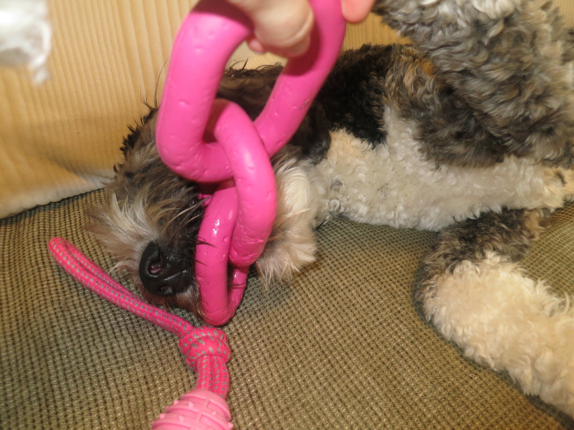 Pink Chain Link Rope Toy Doug's Dog Supplies