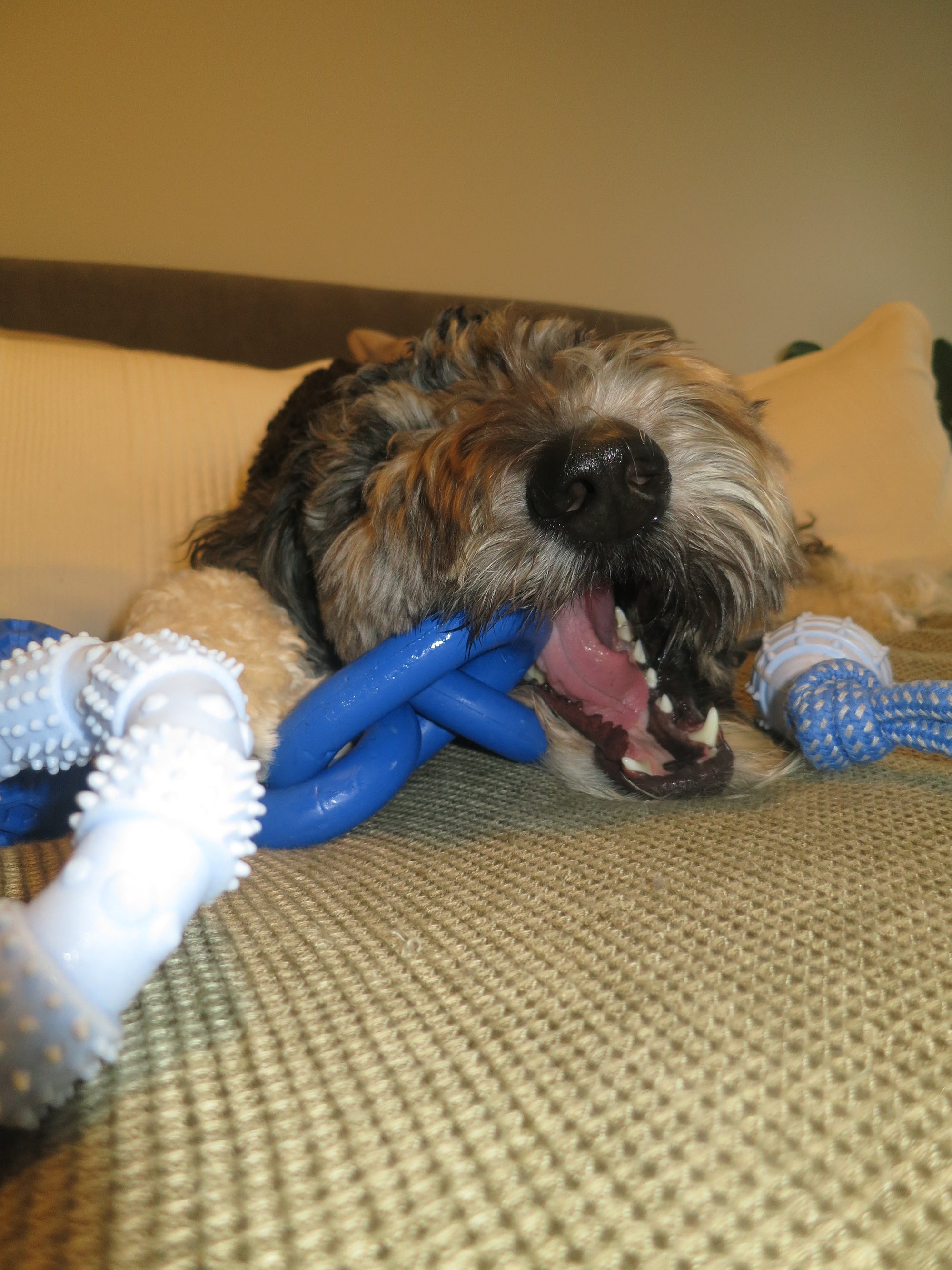 Blue Chain Link Rope Toy Doug's Dog Supplies