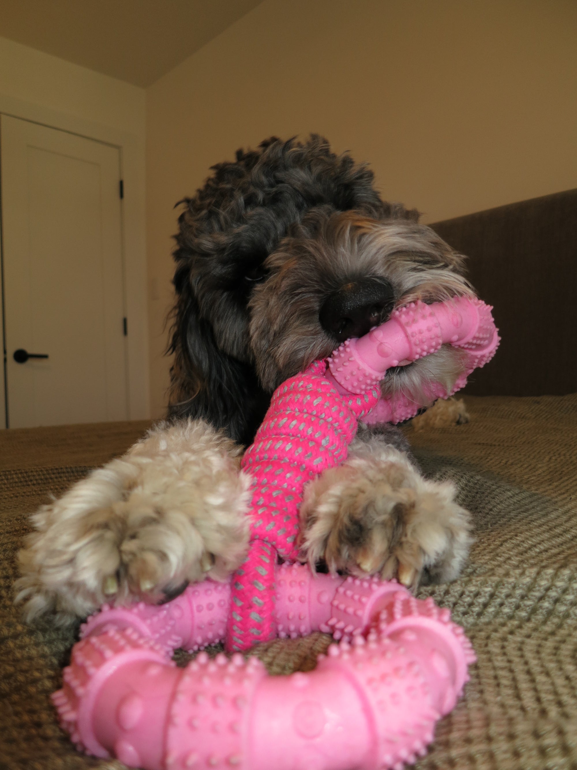 Pink Ring Rope Toy Doug's Dog Supplies