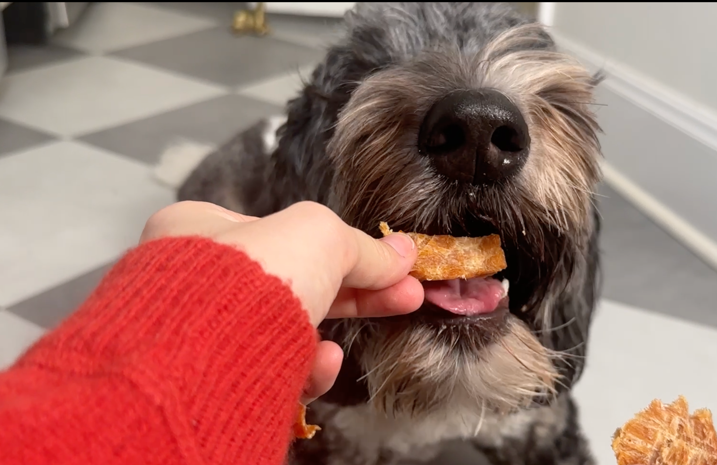 Chicken Jerky (8 oz.)