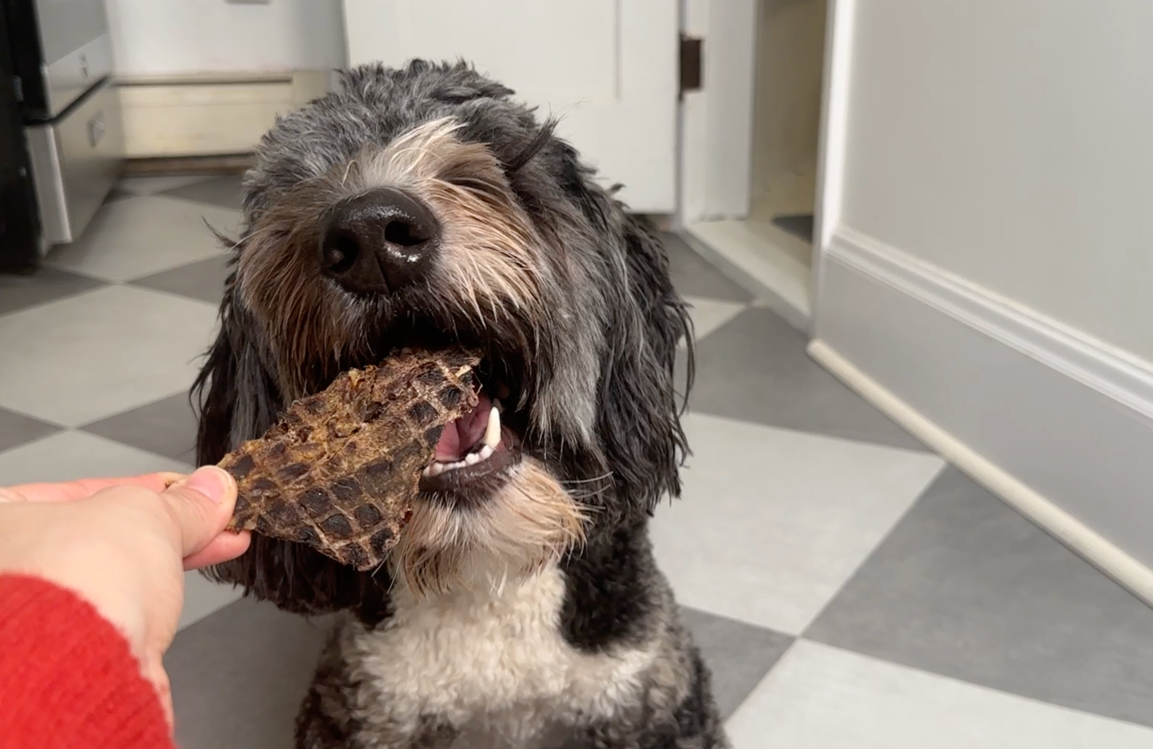 Emu Jerky (8 oz.)